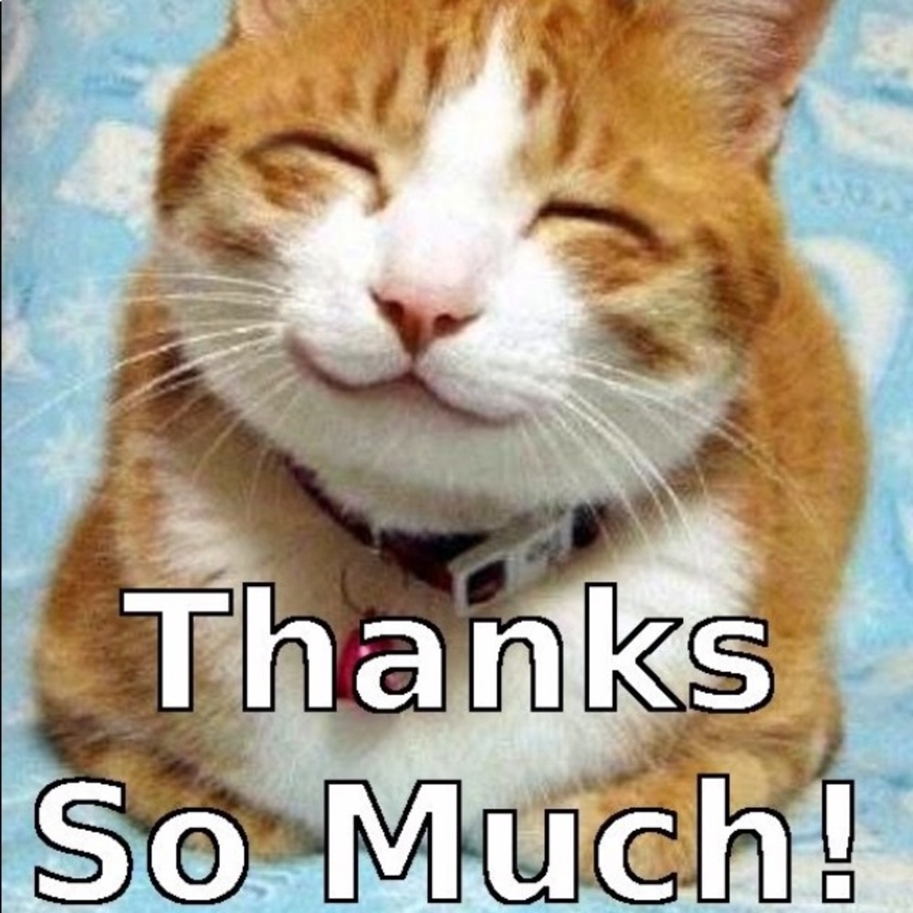 U R helping animals!! Wildlife and cats!!!